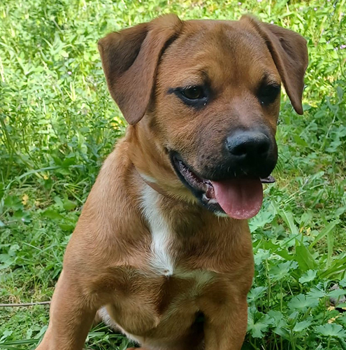 Kira